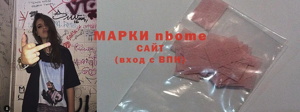 МДПВ Инсар