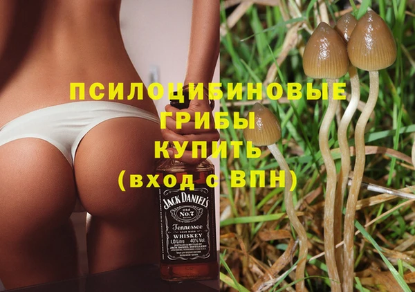 молекула духа Абаза