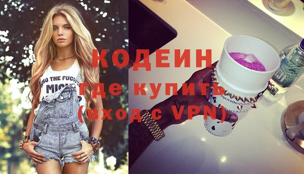 хмурый Инта