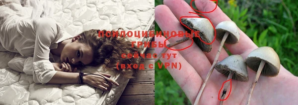 Альфа ПВП Абдулино