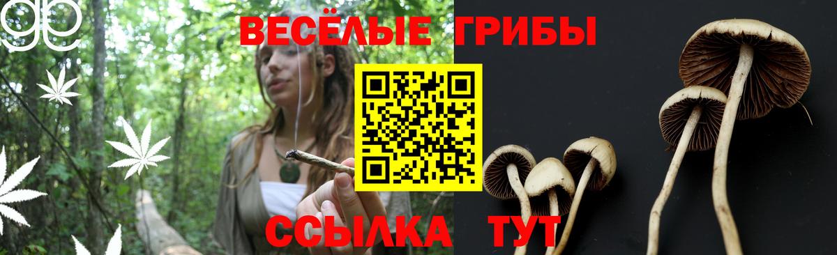 Псилоцибиновые грибы ЛСД Нижневартовск